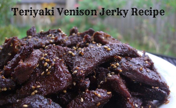 Teriyaki Venison Jerky Recipe