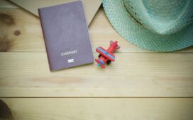 Travel Without Passport